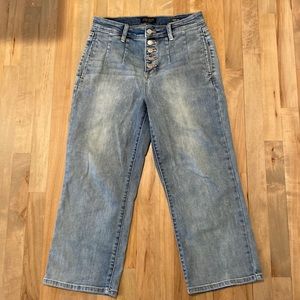 Judy Blue Trouser Jean
